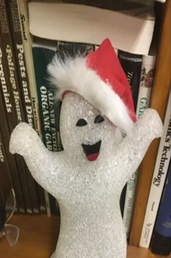 Mr. Ghosty-Pants
